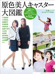 原色美人キャスター大図鑑 の表紙