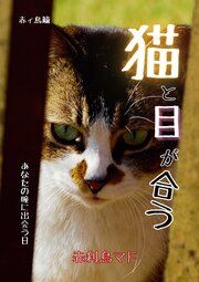 猫と目が合う　～あなたの瞳に出会う日～ の表紙