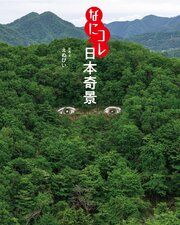 なにコレ日本奇景 の表紙